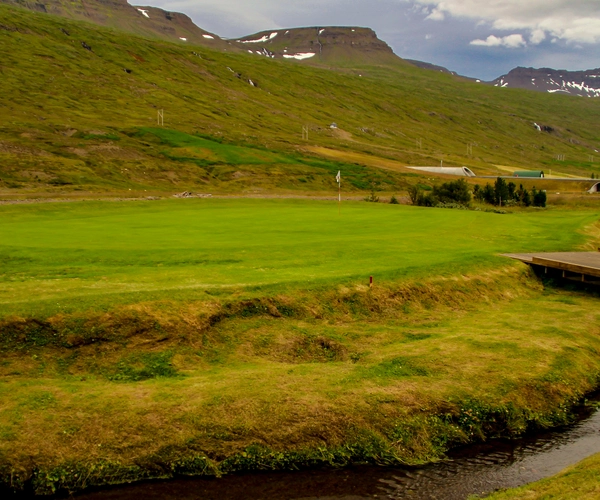 Green at Ekkjufellsv&ouml;llur with mountains in the background