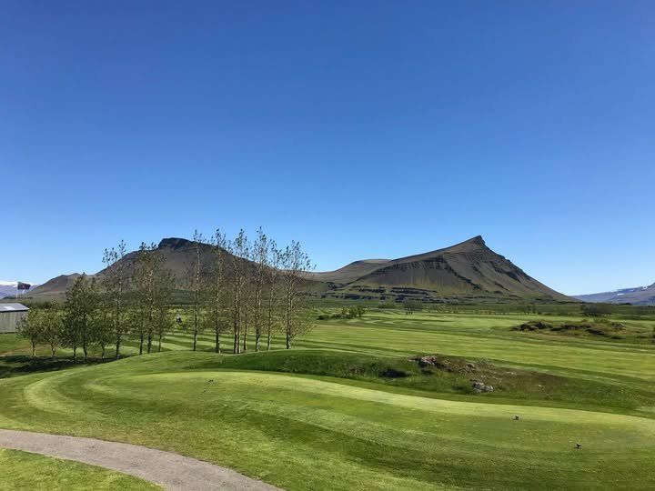 Tree-lined green at Gar&eth;av&ouml;llur with mountain peaks behind